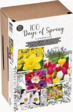 Florex Bloembollen 100 Dagen Voorjaar -Mooi Moestuin 8713339662840 2