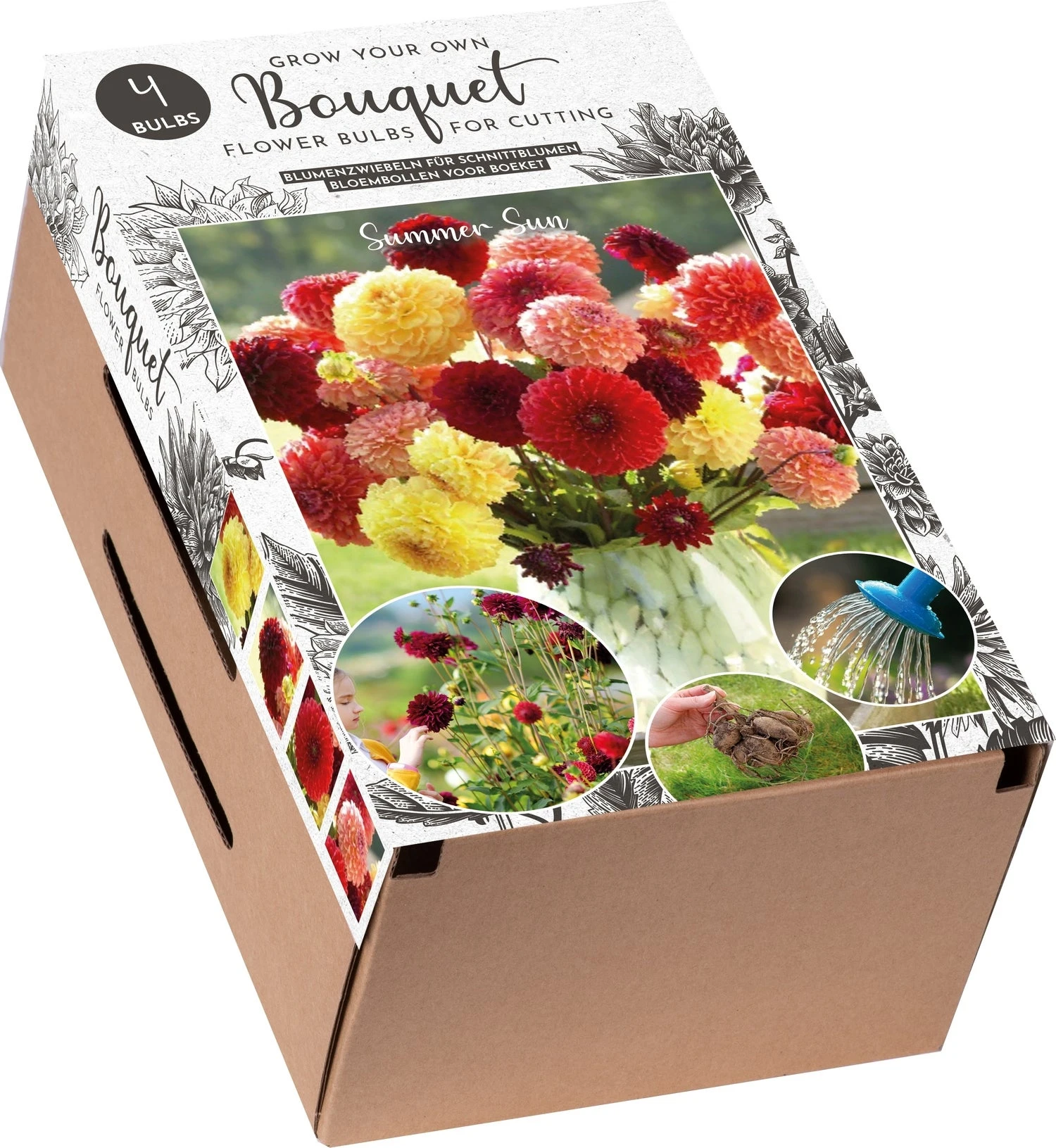 Florex Kraftdoos Bouquet Dahlia (Dahlia 'Pompon') Gemengd 4 Stuks 1 Florex Kraftdoos Bouquet Dahlia (Dahlia 'Pompon') Gemengd 4 Stuks