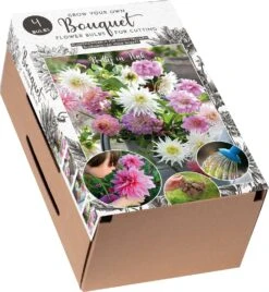Florex Kraftdoos Bouquet Dahlia (Dahlia 'Pretty In Pink') Gemengd 4 Stuks