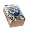 Florex Bloembollen Bouquet In Doos Blue Ocean 24 X 10 X 15 Cm