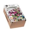 Florex Bloembollen Bouquet In Doos Pure Poetry 24 X 10 X 15 Cm