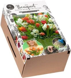 Florex Bloembollen Bouquet In Doos Valentine 24 X 10 X 15 Cm