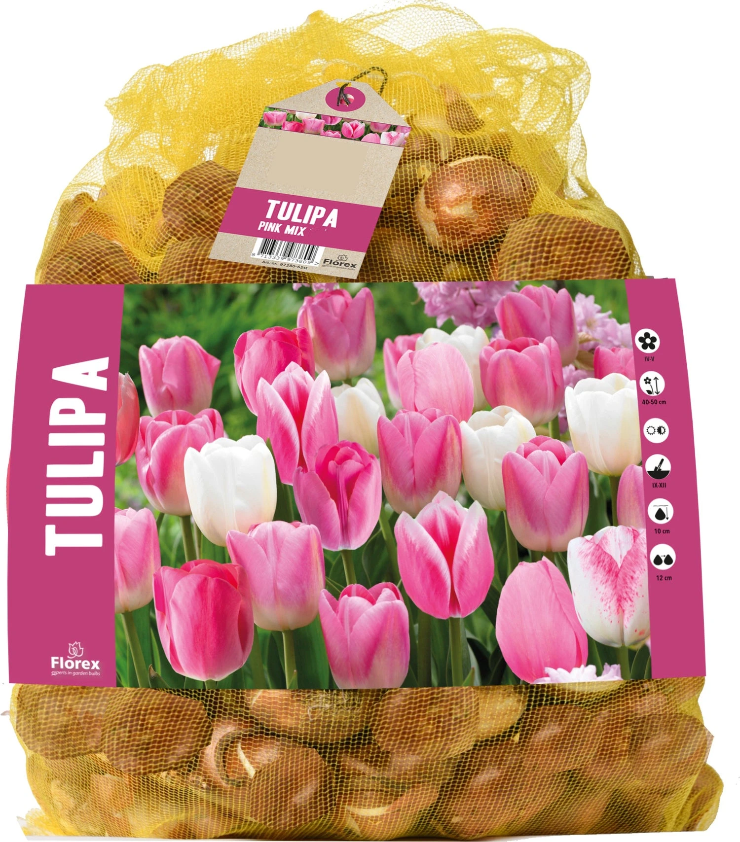 Florex Bloembollen Tulp (Tulipa) Roze Mix 40 Stuks 1 Florex Bloembollen Tulp (Tulipa) Roze Mix 40 Stuks