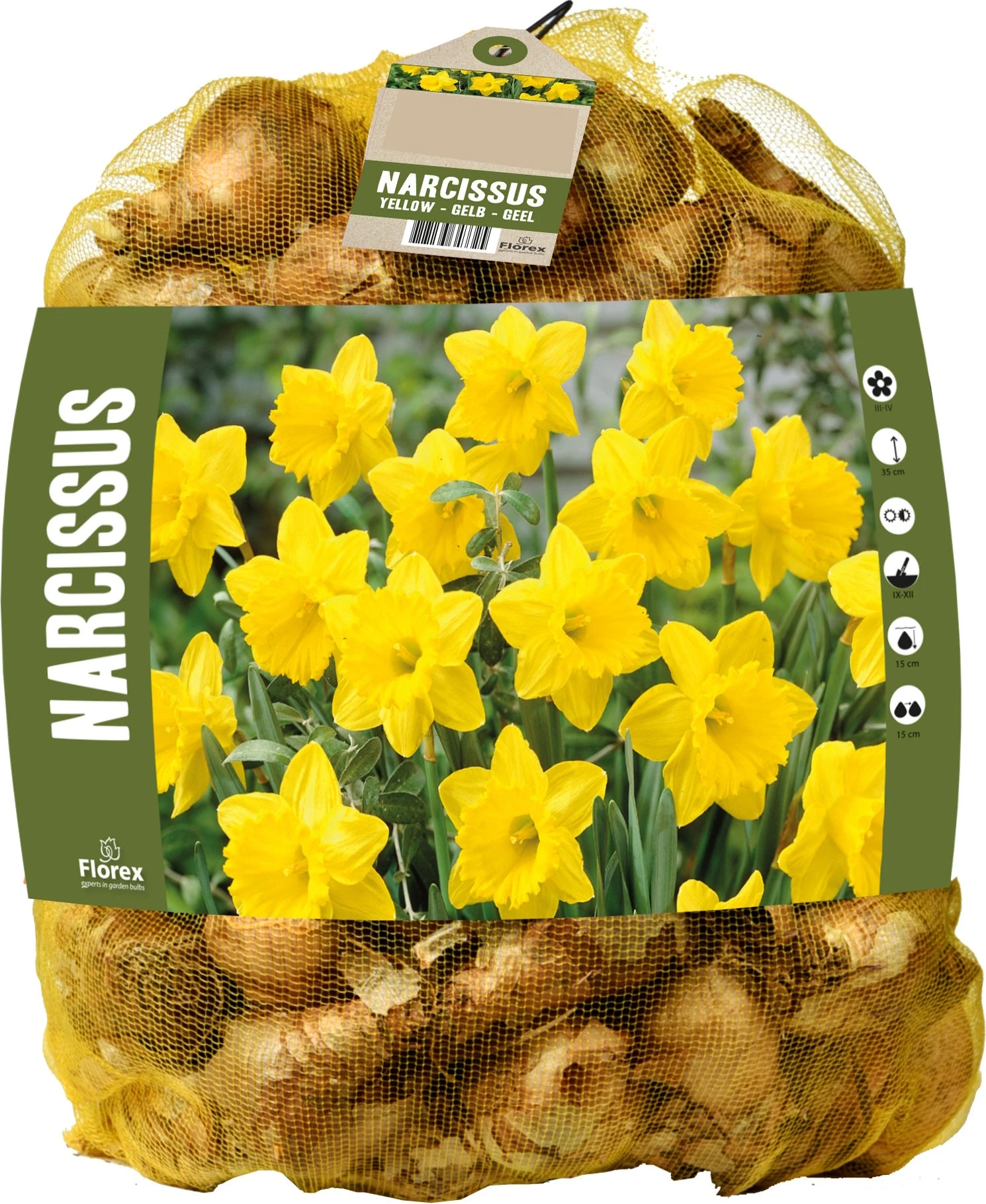 Florex Bloembollen Grootbloemige Narcis (Narcissus) Geel 40 Stuks 1 Florex Bloembollen Grootbloemige Narcis (Narcissus) Geel 40 Stuks