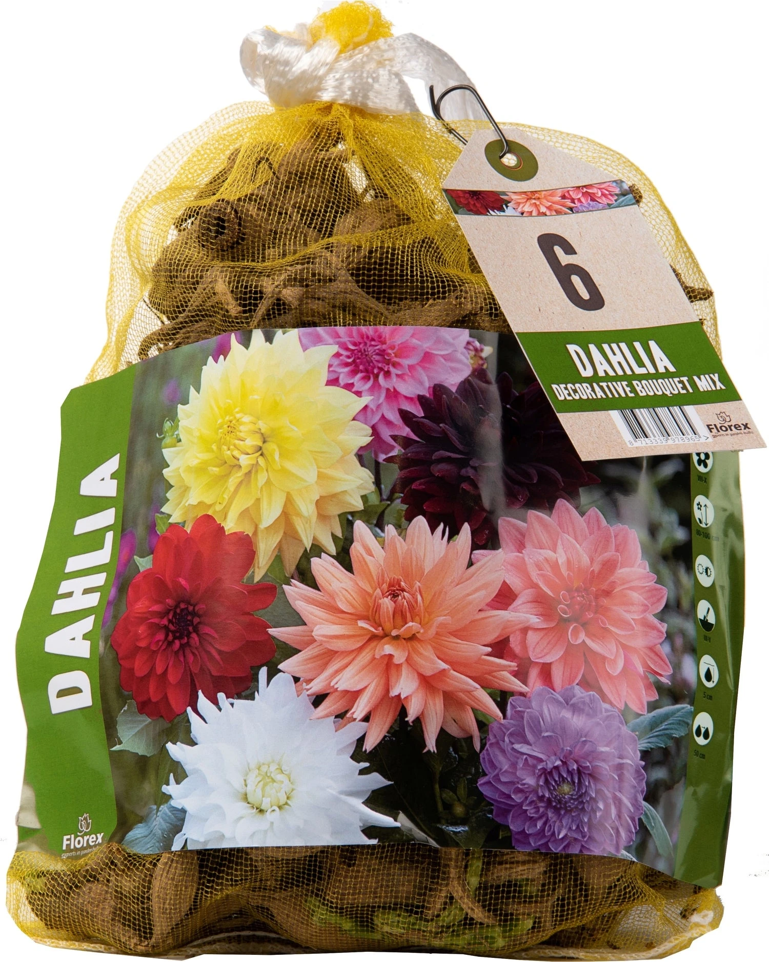 Florex Dahlia Knol (Dahlia Deco Bouquet) Gemengd 6 Stuks 1 Florex Dahlia Knol (Dahlia Deco Bouquet) Gemengd 6 Stuks