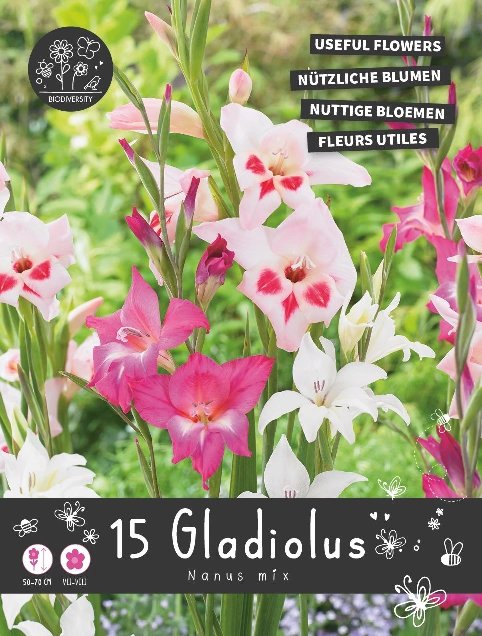 Florex Bloembollen Nuttige Bloemen Gladiool (Gladiolus Nanus) Mix 10,5 X 17,5 X 22 Cm 1 Florex Bloembollen Nuttige Bloemen Gladiool (Gladiolus Nanus) Mix 10,5 X 17,5 X 22 Cm