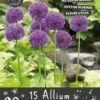 Florex Bloembollen Nuttige Bloemen Sierui (Allium 'Purple Sensation') Mix 10,5 X 17,5 X 22 Cm