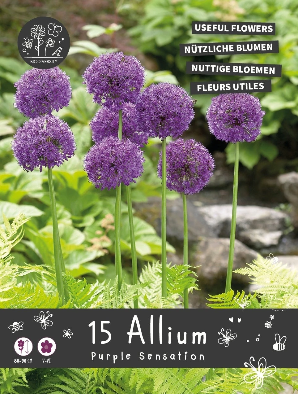 Florex Bloembollen Nuttige Bloemen Sierui (Allium 'Purple Sensation') Mix 10,5 X 17,5 X 22 Cm 1 Florex Bloembollen Nuttige Bloemen Sierui (Allium 'Purple Sensation') Mix 10,5 X 17,5 X 22 Cm