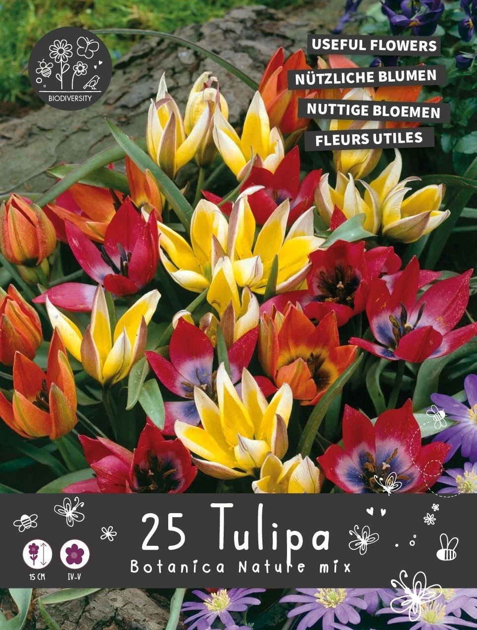 Florex Bloembollen Nuttige Bloemen Tulp (Tulipa) Botanische Mix 10,5 X 17,5 X 22 Cm 1 Florex Bloembollen Nuttige Bloemen Tulp (Tulipa) Botanische Mix 10,5 X 17,5 X 22 Cm