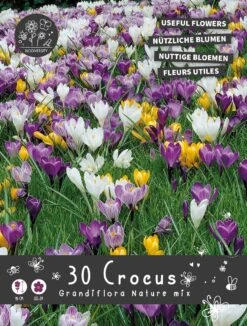 Florex Bloembollen Nuttige Bloemen Krokus (Crocus Grandiflorum) Nature Mix 10,5 X 17,5 X 22 Cm