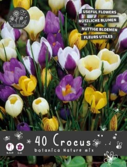Florex Bloembollen Nuttige Bloemen Krokus (Crocus) Botanische Mix 10,5 X 17,5 X 22 Cm