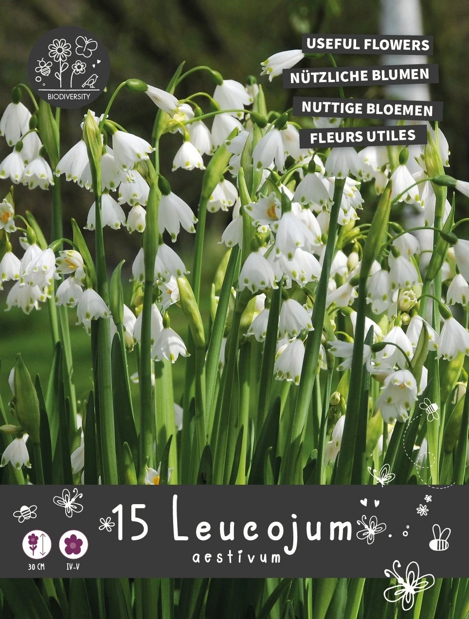 Florex Bloembollen Nuttige Bloemen Zomerklokje (Leucojum Aestivum) 10,5 X 17,5 X 22 Cm 1 Florex Bloembollen Nuttige Bloemen Zomerklokje (Leucojum Aestivum) 10,5 X 17,5 X 22 Cm
