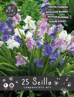 Florex Bloembollen Nuttige Bloemen Sterhyacint (Scilla Campanulata) 10,5 X 17,5 X 22 Cm