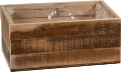 Mega Collections Plantenbak Raf Bruin 28 X 18 X 12 Cm