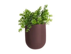 PT Living Muur Bloempot Oval Paars 19 X 14,8 X 7 Cm 6 PT Living Muur Bloempot Oval Paars 19 X 14,8 X 7 Cm -Mooi Moestuin 8714302693625 3