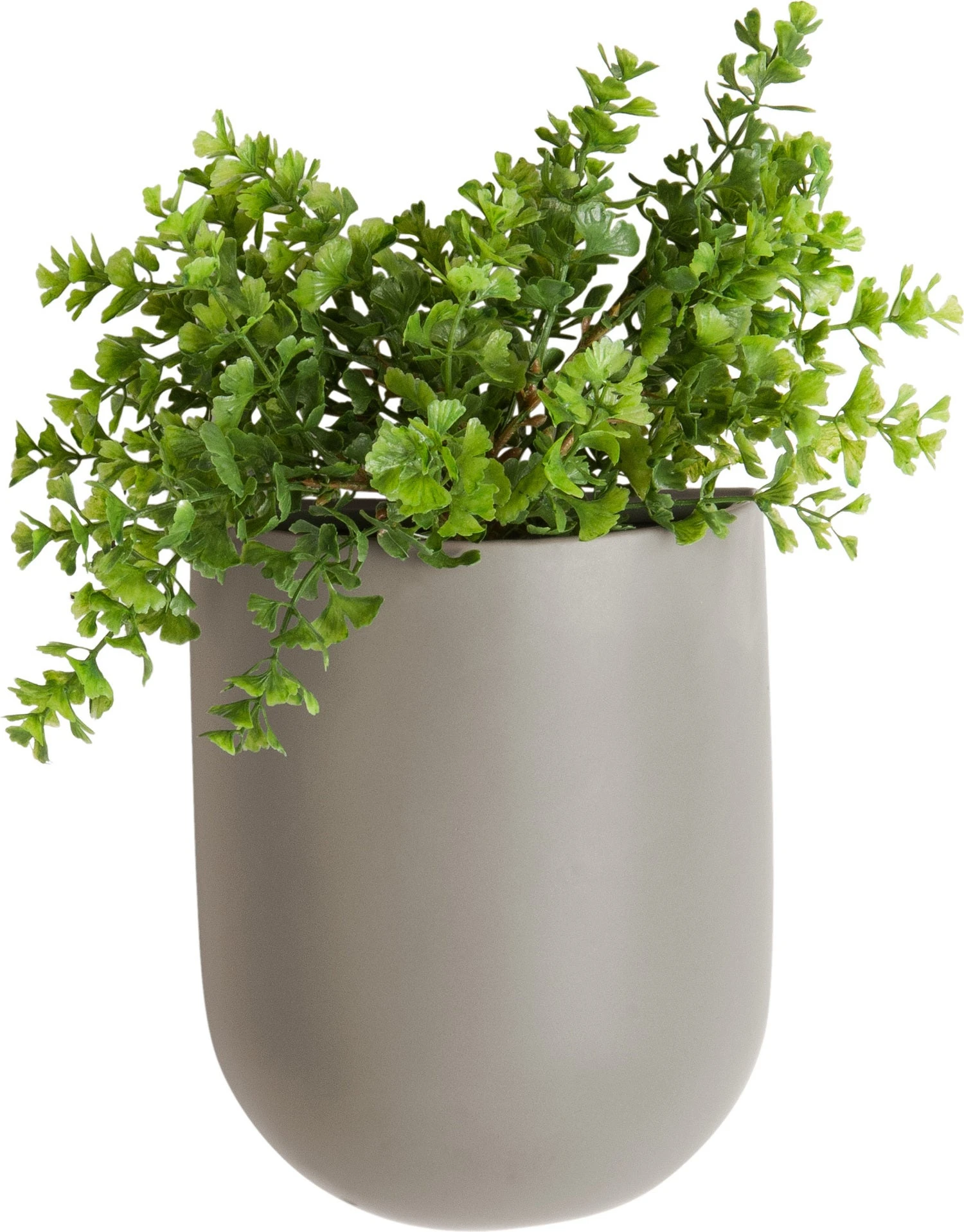 PT Living Muur Bloempot Oval Grijs 19 X 14,8 X 7 Cm 3 PT Living Muur Bloempot Oval Grijs 19 X 14,8 X 7 Cm - Afbeelding 3