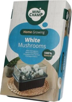 Mini Champ Home Growing Witte Champignons 27,7 X 8,6 X 17,5 Cm