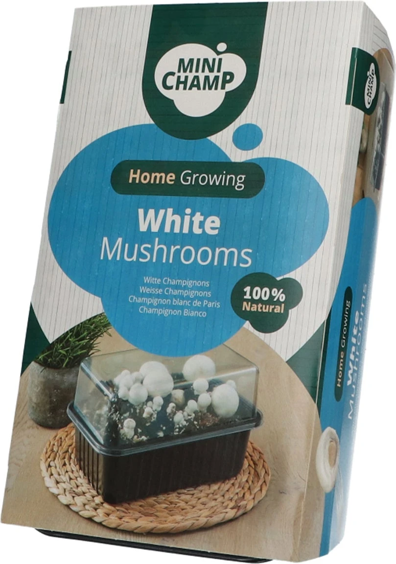 Mini Champ Home Growing Witte Champignons 27,7 X 8,6 X 17,5 Cm 1 Mini Champ Home Growing Witte Champignons 27,7 X 8,6 X 17,5 Cm