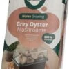 Mini Champ Home Growing Grijze Oesterzwam 27,7 X 8,6 X 17,5 Cm
