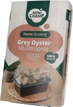 Mini Champ Home Growing Grijze Oesterzwam 27,7 X 8,6 X 17,5 Cm