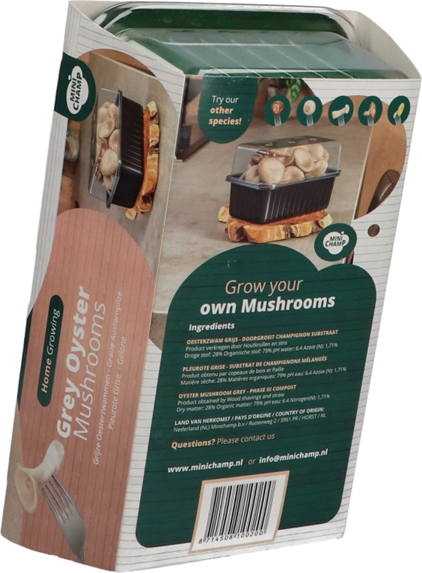 Mini Champ Home Growing Grijze Oesterzwam 27,7 X 8,6 X 17,5 Cm 2 Mini Champ Home Growing Grijze Oesterzwam 27,7 X 8,6 X 17,5 Cm - Afbeelding 2