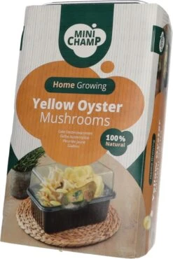 Mini Champ Home Growing Gele Oesterzwam 27,7 X 8,6 X 17,5 Cm