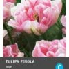 Intratuin Bloembollen Tulp (Tulipa 'Finola') 10 Stuks