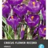 Intratuin Bloembollen Krokus (Crocus 'Flower Record') 15 Stuks