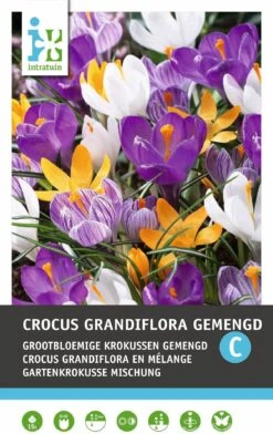 Intratuin Bloembollen Krokus (Crocus Grandiflora) Gemengd 15 Stuks
