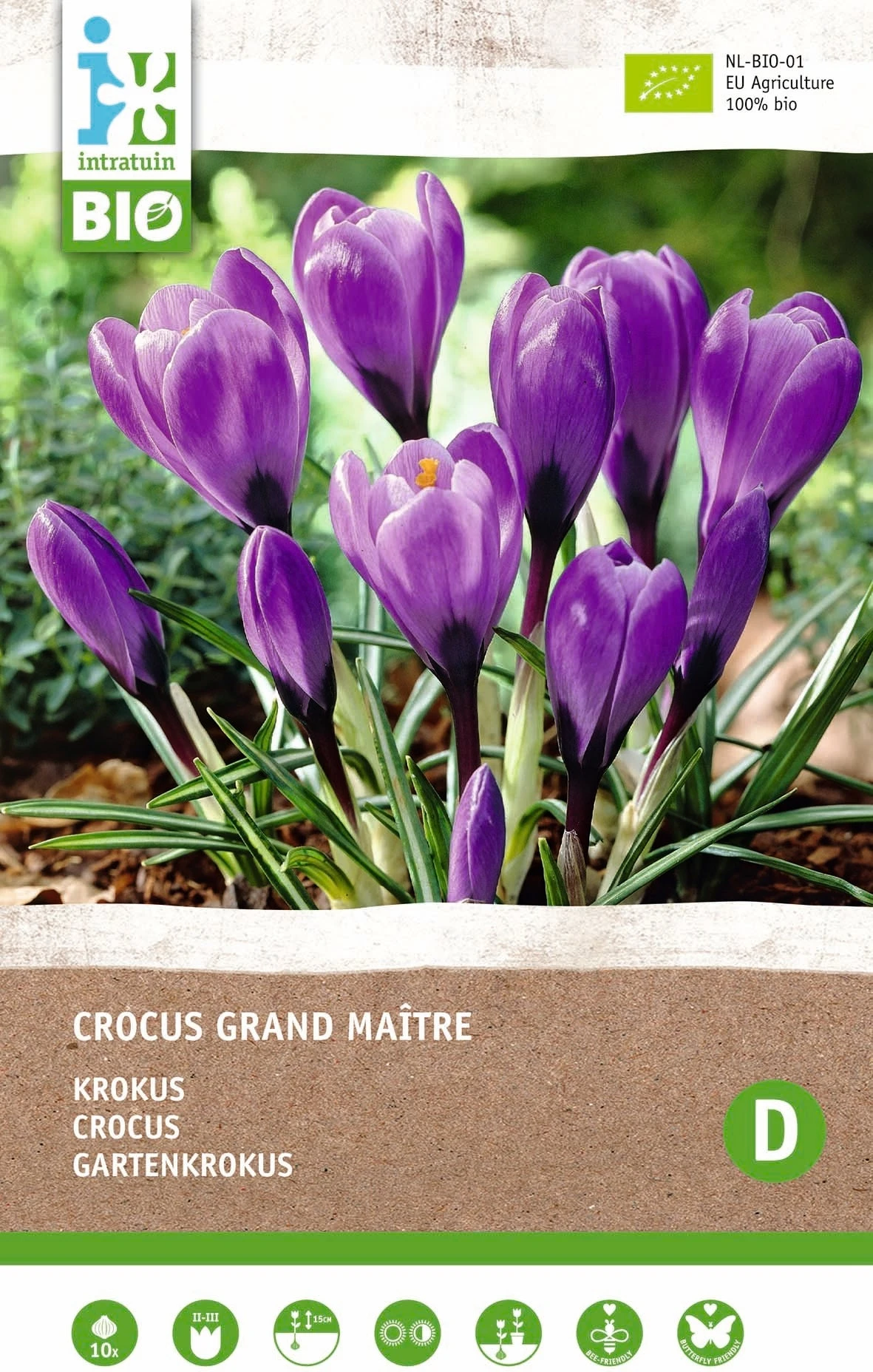 Intratuin Biologische Bloembollen Krokus (Crocus 'Grand Maitre') 10 Stuks 1 Intratuin Biologische Bloembollen Krokus (Crocus 'Grand Maitre') 10 Stuks