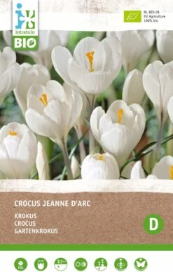 Intratuin Biologische Bloembollen Krokus (Crocus 'Jeanne D'Arc') 10 Stuks