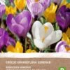 Intratuin Biologische Bloembollen Krokus (Crocus Grandiflora) Gemengd 10 Stuks