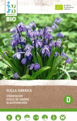 Intratuin Biologische Bloembollen Sterhyacint (Scilla Siberica) 8 Stuks