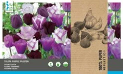 Intratuin Bloembollen Tulp (Tulipa 'Purple Passion') Gemengd 25 Stuks -Mooi Moestuin 8717263342663 2 2