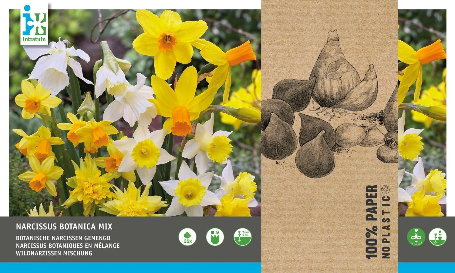Intratuin Bloembollen Botanische Narcis (Narcissus) Wit, Geel 35 Stuks 2 Intratuin Bloembollen Botanische Narcis (Narcissus) Wit, Geel 35 Stuks - Afbeelding 2