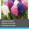 Intratuin Bloembollen Hyacint (Hyacinthus 'Delight') Gemengd 15 Stuks