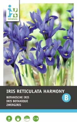 Intratuin Bloembollen Iris (Iris Reticulata 'Harmony') 25 Stuks