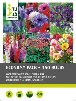 Intratuin Bloembollen Pakket Gemengd 150 Stuks