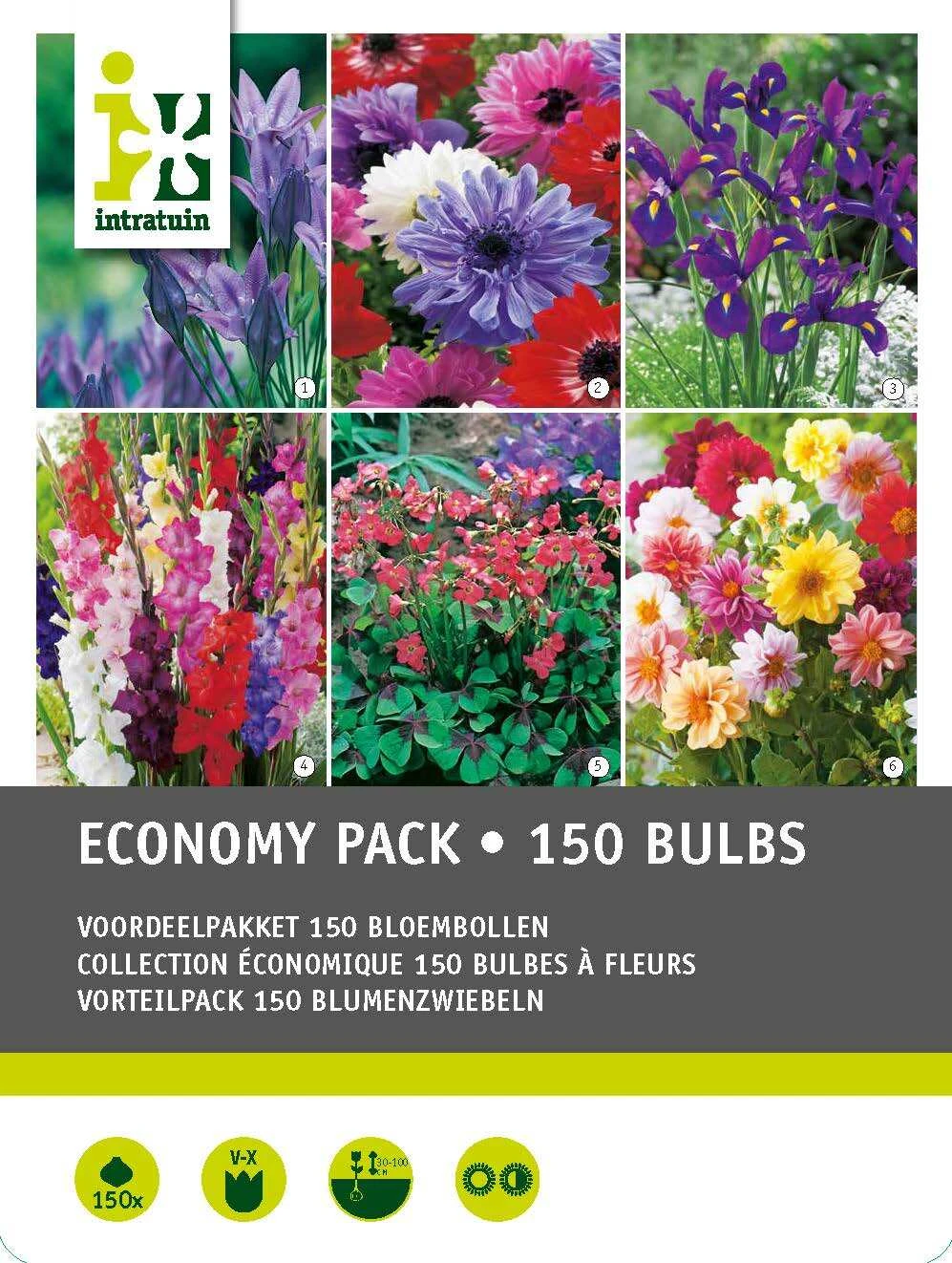Intratuin Bloembollen Pakket Gemengd 150 Stuks 1 Intratuin Bloembollen Pakket Gemengd 150 Stuks