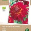 Intratuin Biologische Dahlia Knol (Dahlia 'Manhattan Island')