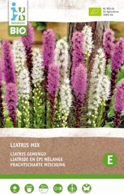 Intratuin Biologische Vaste Plant Lampenpoetser (Liatris Spicata) Gemengd Blauw 6 Stuks