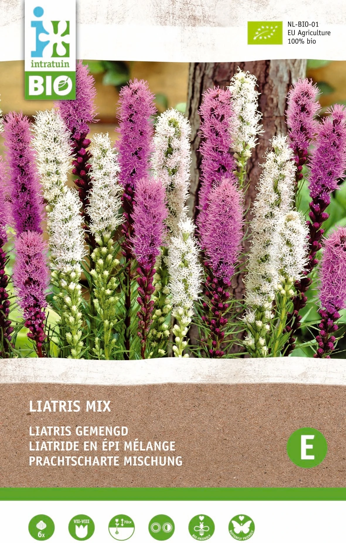 Intratuin Biologische Vaste Plant Lampenpoetser (Liatris Spicata) Gemengd Blauw 6 Stuks 1 Intratuin Biologische Vaste Plant Lampenpoetser (Liatris Spicata) Gemengd Blauw 6 Stuks