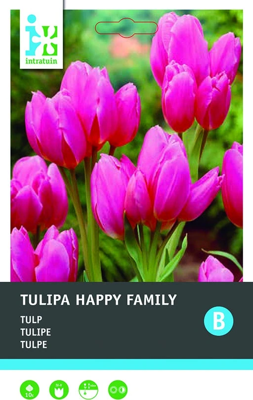 Intratuin Bloembollen Tulp (Tulipa 'Happy Family') 10 Stuks 1 Intratuin Bloembollen Tulp (Tulipa 'Happy Family') 10 Stuks