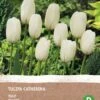 Intratuin Biologische Bloembollen Tulp (Tulipa 'Catherina') 6 Stuks