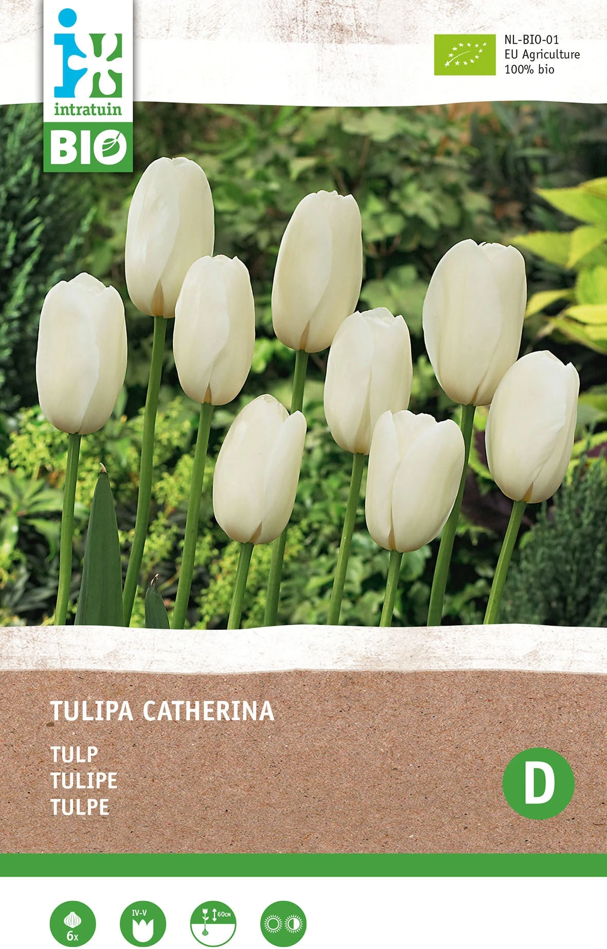 Intratuin Biologische Bloembollen Tulp (Tulipa 'Catherina') 6 Stuks 2 Intratuin Biologische Bloembollen Tulp (Tulipa 'Catherina') 6 Stuks - Afbeelding 2