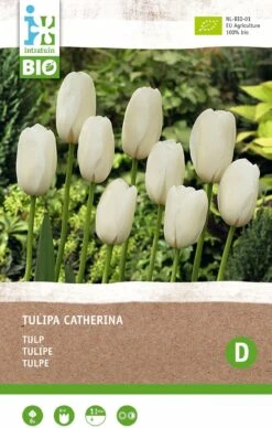 Intratuin Biologische Bloembollen Tulp (Tulipa 'Catherina') 6 Stuks 5 Intratuin Biologische Bloembollen Tulp (Tulipa 'Catherina') 6 Stuks -Mooi Moestuin 8717263786535 2