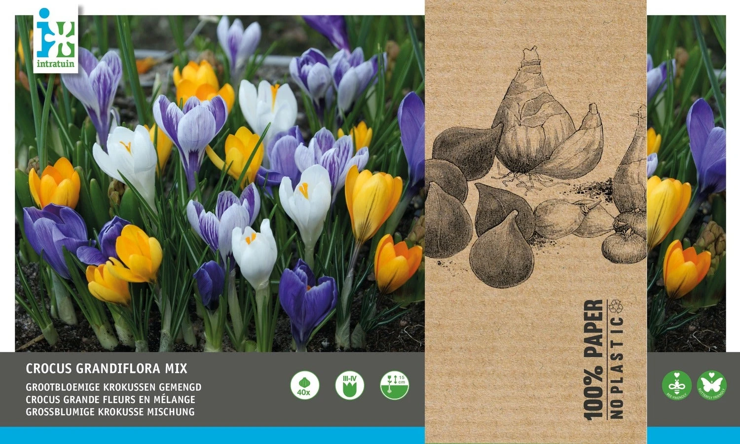 Intratuin Bloembollen Krokus (Crocus Grandiflora) Gemengd 40 Stuks 3 Intratuin Bloembollen Krokus (Crocus Grandiflora) Gemengd 40 Stuks - Afbeelding 3
