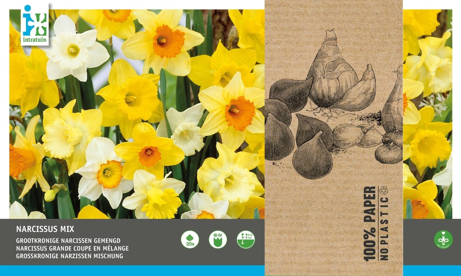 Intratuin Bloembollen Grootkronige Narcis (Narcissus) Geel, Wit 20 Stuks 1 Intratuin Bloembollen Grootkronige Narcis (Narcissus) Geel, Wit 20 Stuks