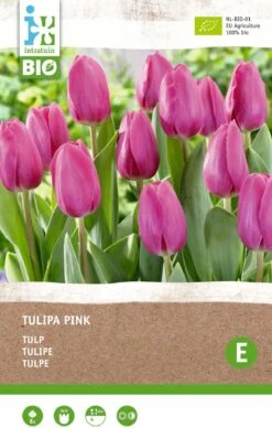 Intratuin Biologische Bloembollen Tulp (Tulipa) Roze 6 Stuks