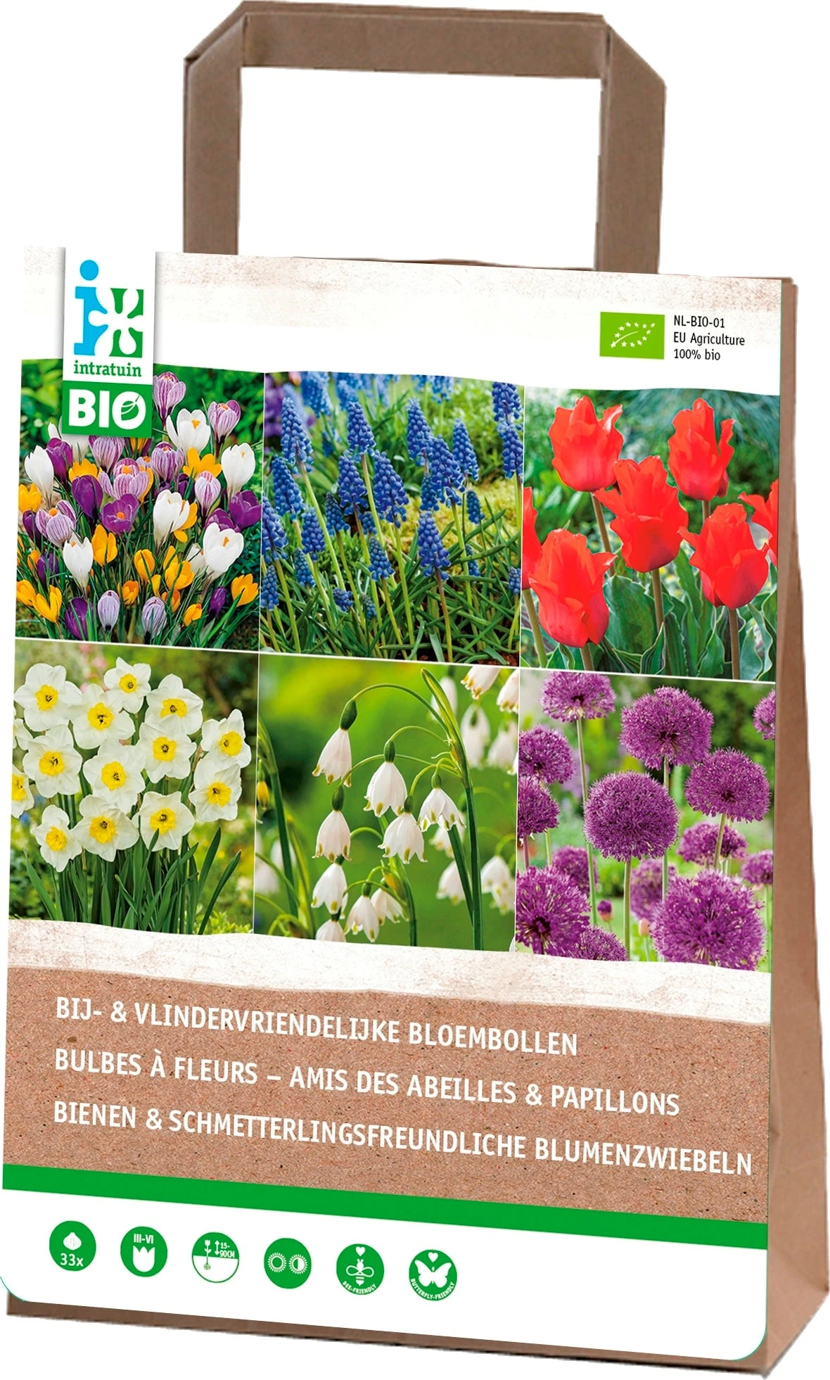 Intratuin Biologische Bij- En Vlinder Vriendelijke Bloembollen Gemengd 33 Stuks 1 Intratuin Biologische Bij- En Vlinder Vriendelijke Bloembollen Gemengd 33 Stuks